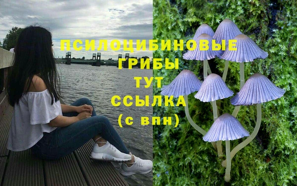 ECSTASY Абаза
