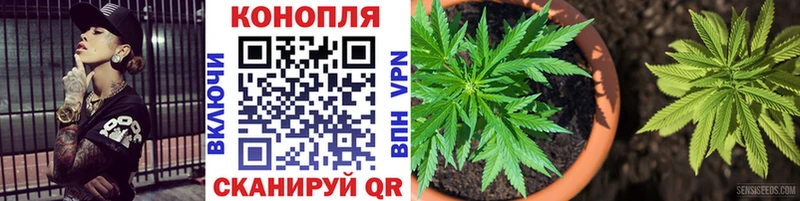 купить  цена  Абаза  Бошки марихуана сатива 